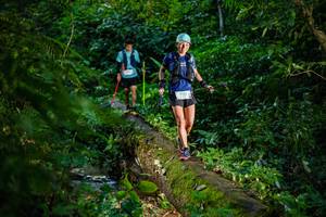 BIB: 
                            <button type="button" onclick="openModal(18921955)" class="btn btn-primary btn-sm float-right btn-popup" data-toggle="modal" data-target=".modal-high-quality">
                        <i class="fas fa-shopping-cart"></i> Add to Cart
                    </button>
                                            <button type="button" onclick="isThisMe(18921955, true)" class="btn btn-success btn-sm float-right btn-popup btn-isme hidden" data-toggle="tooltip" data-placement="bottom" title="นี่คือรูปของคุณใช่ไหม คลิกที่นี่เพื่อเอาเข้าอัลบั้ม">
                        <i class="fas fa-plus"></i> Add to album
                    </button>
                    <button type="button" onclick="isThisMe(18921955, false)" class="btn btn-warning btn-sm float-right btn-popup btn-isnotme hidden">
                        <i class="fas fa-ban"></i> Remove from album
                    </button>